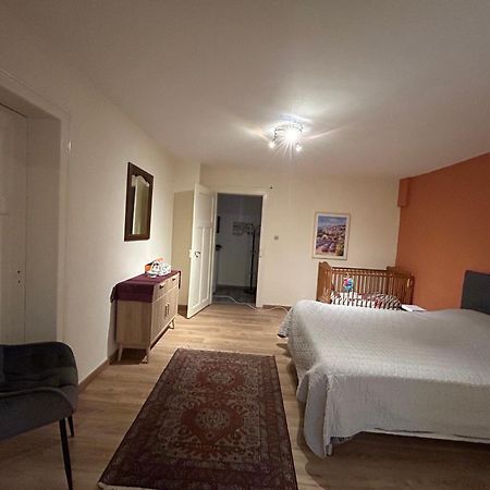 Bel Appartement En Rdc Proche Strasbourg Nice Apartment Very Near Estrasburgo Exterior foto