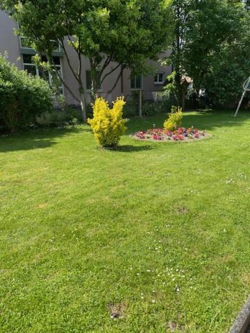Bel Appartement En Rdc Proche Strasbourg Nice Apartment Very Near Estrasburgo Exterior foto